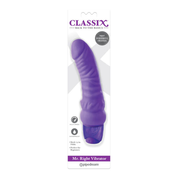 603912757507 Classix Mr. Right Vibrator Purple