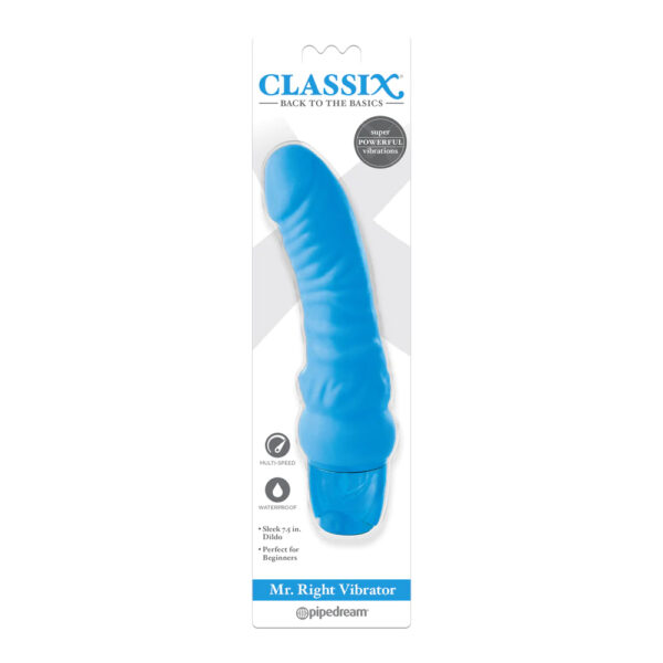 603912757514 Classix Mr. Right Vibrator Blue