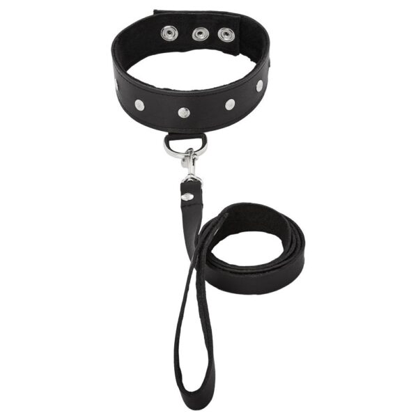 646709432027 2 Leather Collar & Leash Set