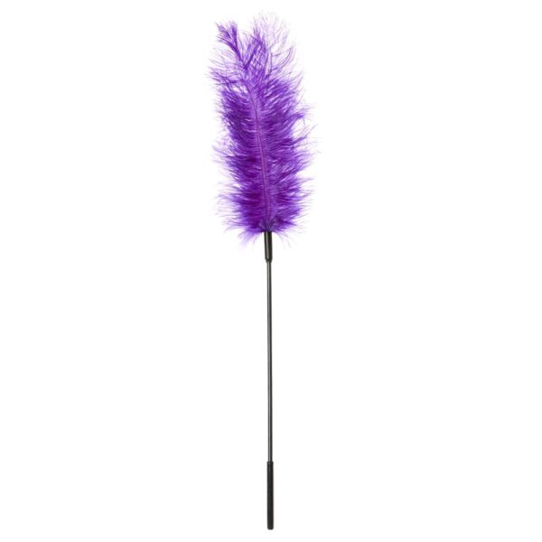 646709700027 Ostrich Tickler (Purple)