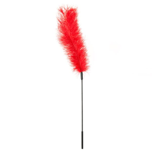 646709700034 Ostrich Feather Tickler (Red)