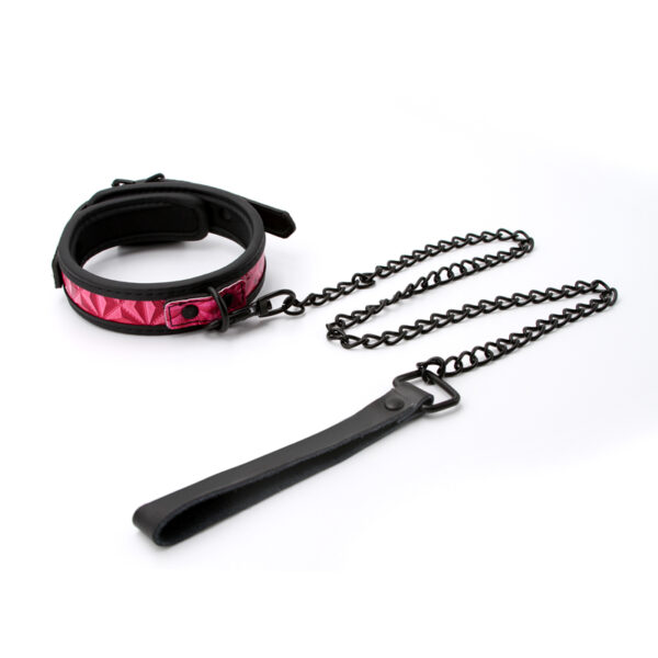 657447102448 2 Sinful 1" Collar Pink