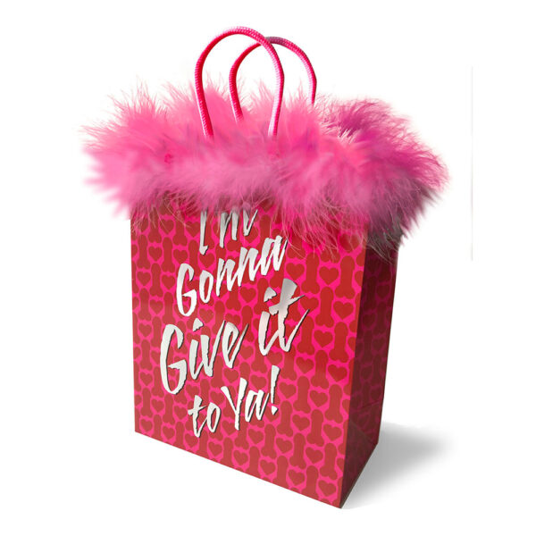 685634101967 I'm Gonna Give It To Ya! Gift Bag