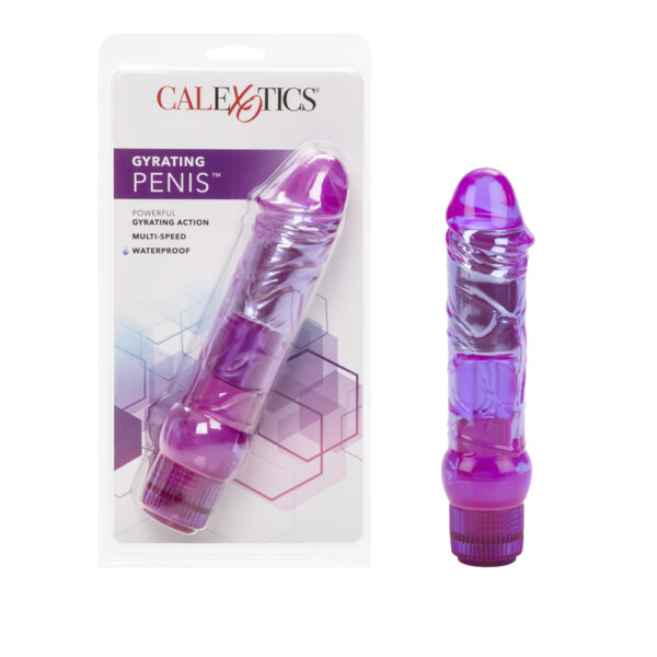 716770026699 Gyrating Penis Purple