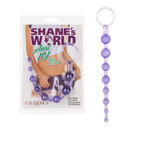 716770030757 Shane's World Anal 101 Intro Beads Purple