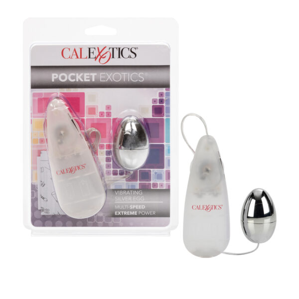 716770080264 Pocket Exotics Vibrating Silver Egg Silver