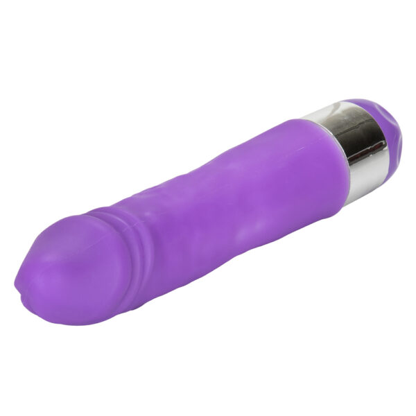 716770088550 3 Shane's World Silicone Buddy Purple