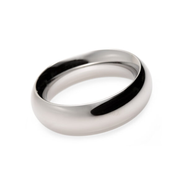 848518000798 3 Master Series Stainless Steel Cock Ring 2''