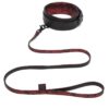 Fifty Shades Of Grey Sweet Anticipation Collar & Lead