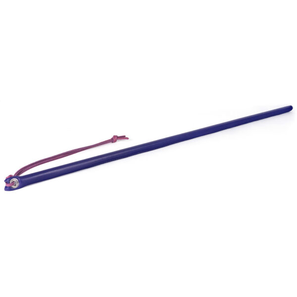 669729110232 24" Leather Wrapped Cane Purple