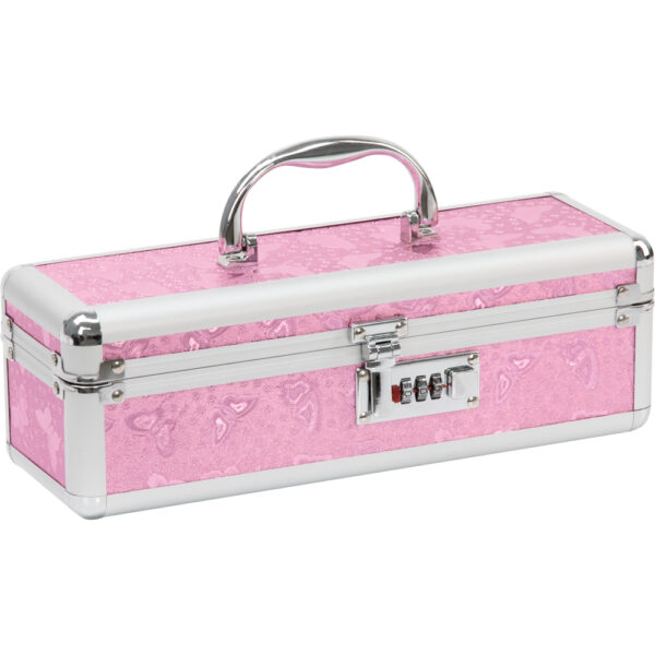 677613099167 Powerbullet Lockable Medium Vibrator Case Pink