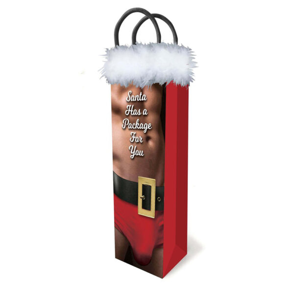 685634103404 Santa Has A Big Package For You Gift Bag