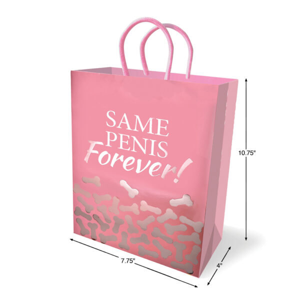 685634104081 2 Same Penis Forever Gift Bag