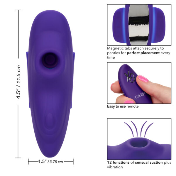 716770100832 3 Lock-N-Play Remote Suction Panty Teaser