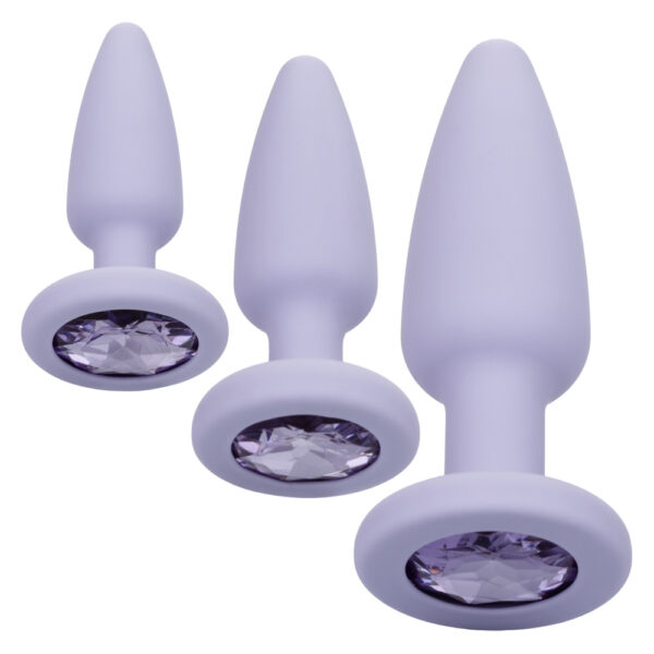 716770101174 2 First Time Crystal Booty Kit Purple