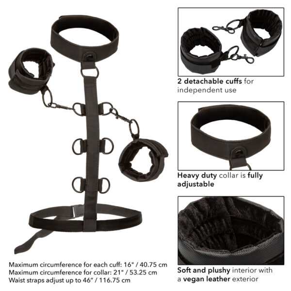 716770104090 3 Boundless Collar Body Restraint