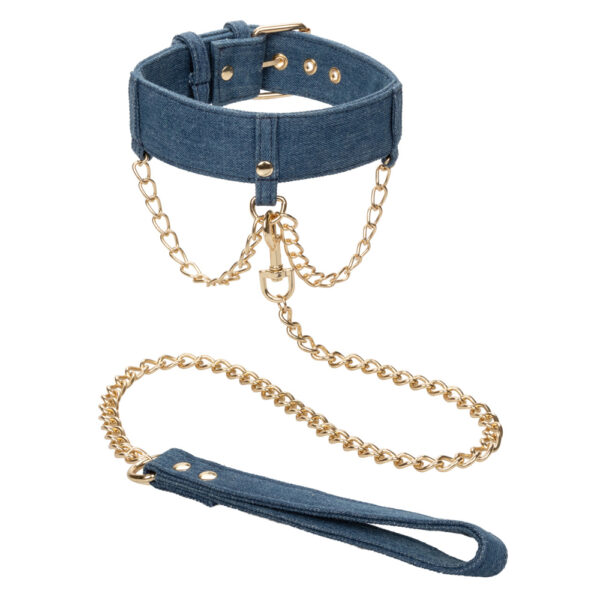 716770105523 2 Ride 'Em Premium Denim Collection Collar With Leash