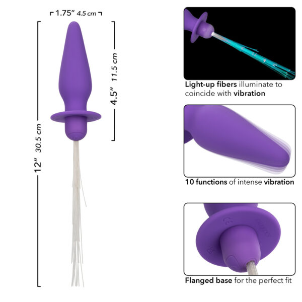 716770109446 3 Southern Lights Vibrating Light Up Anal Probe Purple