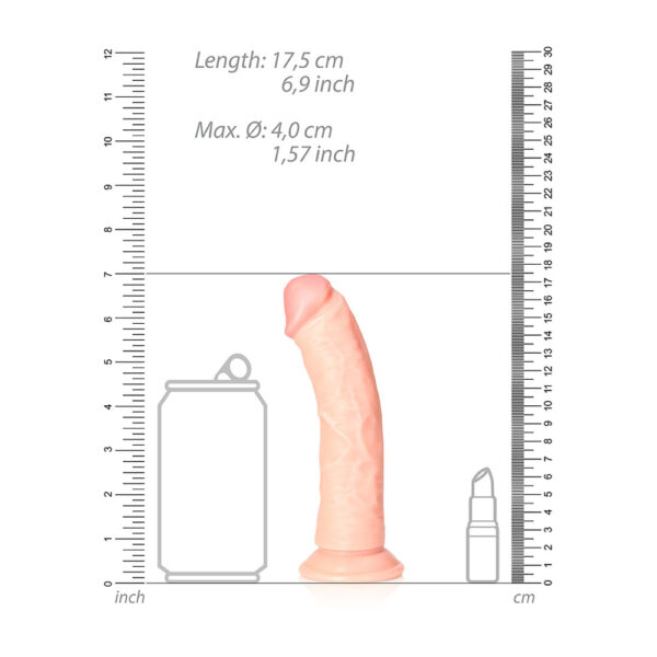 7423522625699 3 Curved Realistic Dildo Without Balls With Suction Cup 6'' Flesh