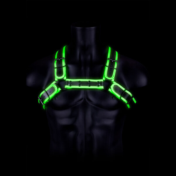 7423522648698 2 Ouch! Buckle Bulldog Harness Glow In The Dark S/M