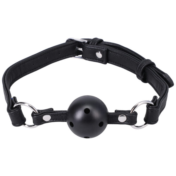 782421084240 2 Ball Gag In A Bag Black