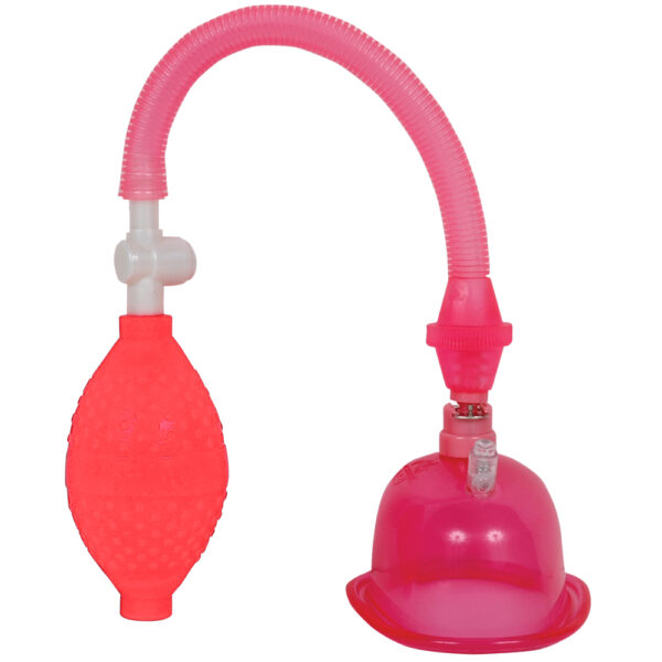 782421084417 2 Pussy Pump In A Bag Pink