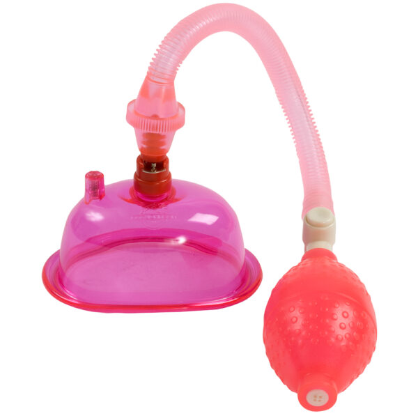 782421084417 Pussy Pump In A Bag Pink