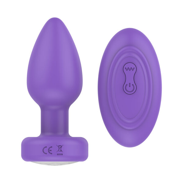 810119281937 2 Pr17: Vibrating Plug W/ Remote Purple