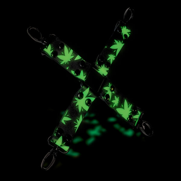 810126930194 2 Stoner Vibes Chronic Collection Glow In The Dark Hogtie