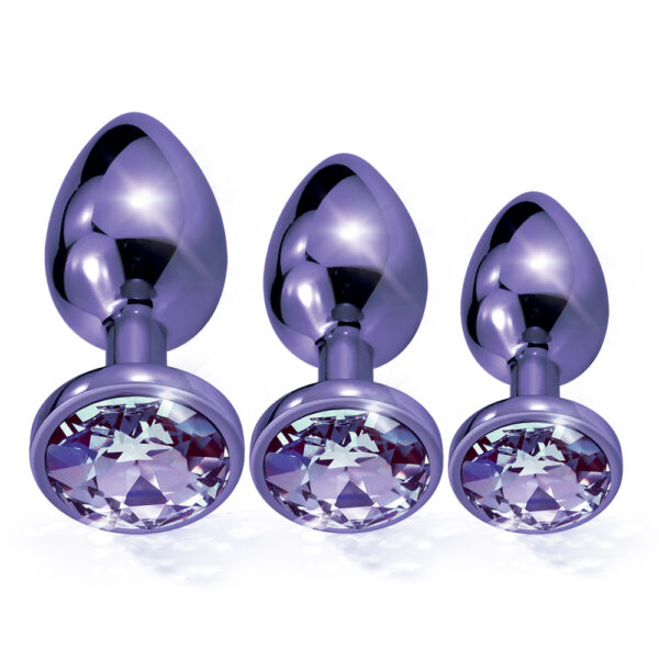 850010096926 2 Nixie Metal Butt Plug Trainer Set Purple Metallic