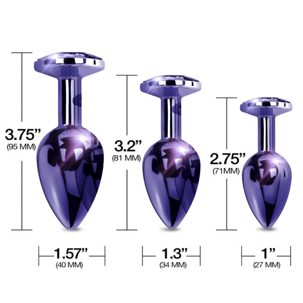 850010096926 3 Nixie Metal Butt Plug Trainer Set Purple Metallic