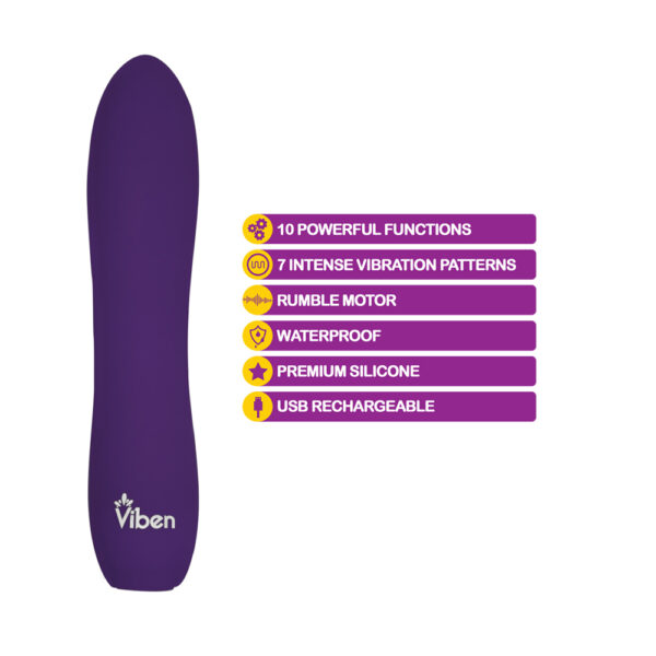 850018691055 2 Viben Vivacious Power Bullet Violet