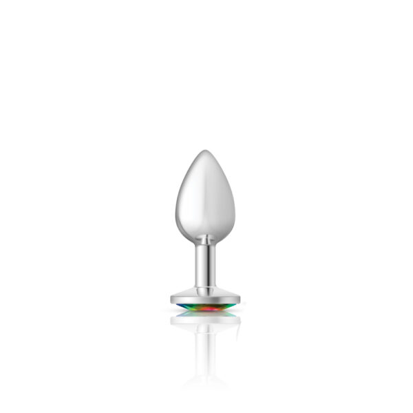 850018691178 2 Cheeky Charms Metal Butt Plug Silver Round Rainbow Small