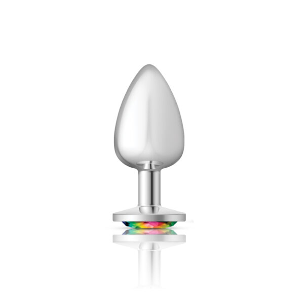 850018691192 2 Cheeky Charms Metal Butt Plug Silver Round Rainbow Large