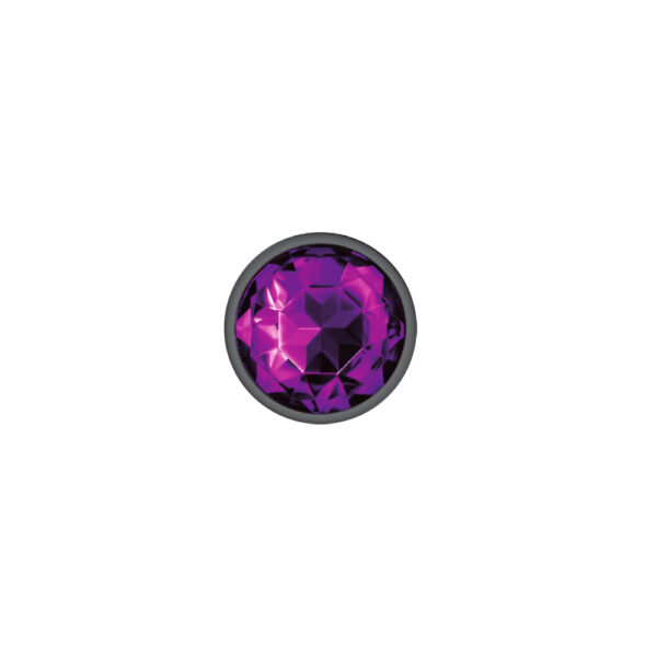 850018691239 3 Cheeky Charms Metal Butt Plug Gunmetal Round Deep Purple Small