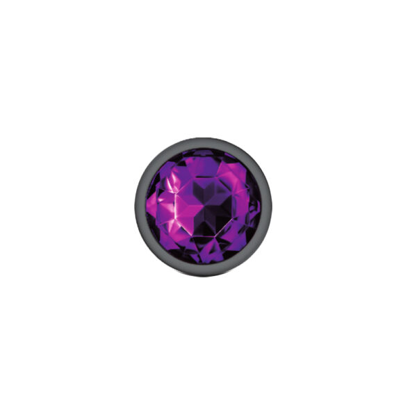 850018691246 3 Cheeky Charms Metal Butt Plug Gunmetal Round Deep Purple Medium