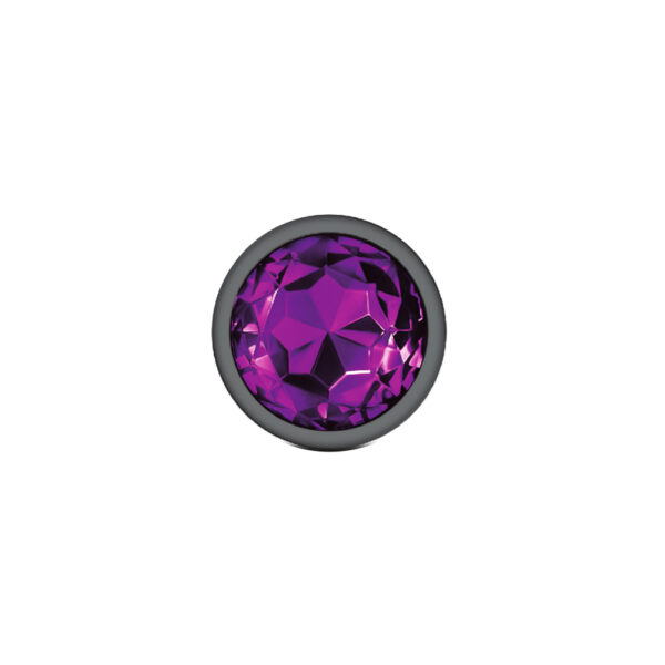 850018691253 3 Cheeky Charms Metal Butt Plug Gunmetal Round Deep Purple Large