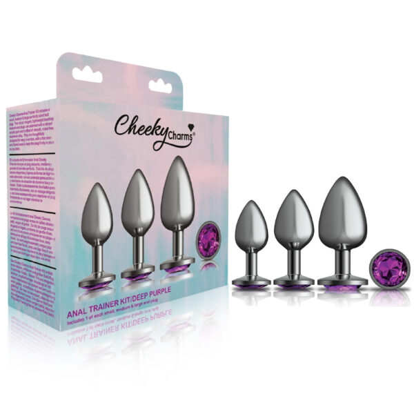 850018691512 Cheeky Charms Anal Trainer Kit Gunmetal Deep Purple