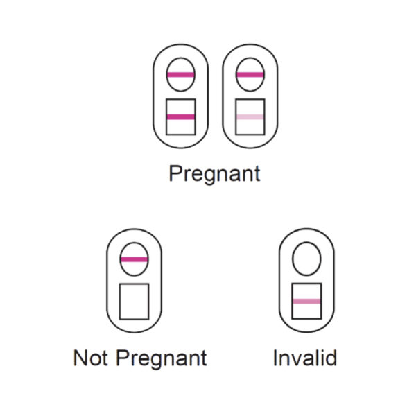 850041338019 3 Versea Easy Lab Pregnancy Test - 2 Test Pack